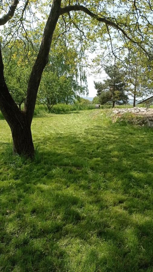 Oaza Milosci Lipinki  Eksteriør bilde